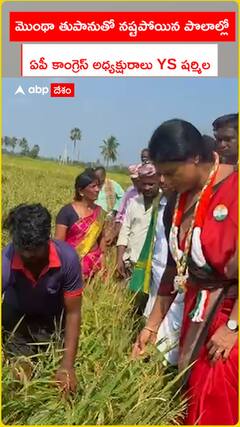 మొంథా తుపానుతో నష్టపోయిన పొలాల్లో వైఎస్ షర్మిల