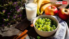 Vegan Vs Vegetarian: क्या होता है वीगन और वेजिटेरियन के बीच अंतर, जानें दोनों की डाइट के बीच का फर्क?