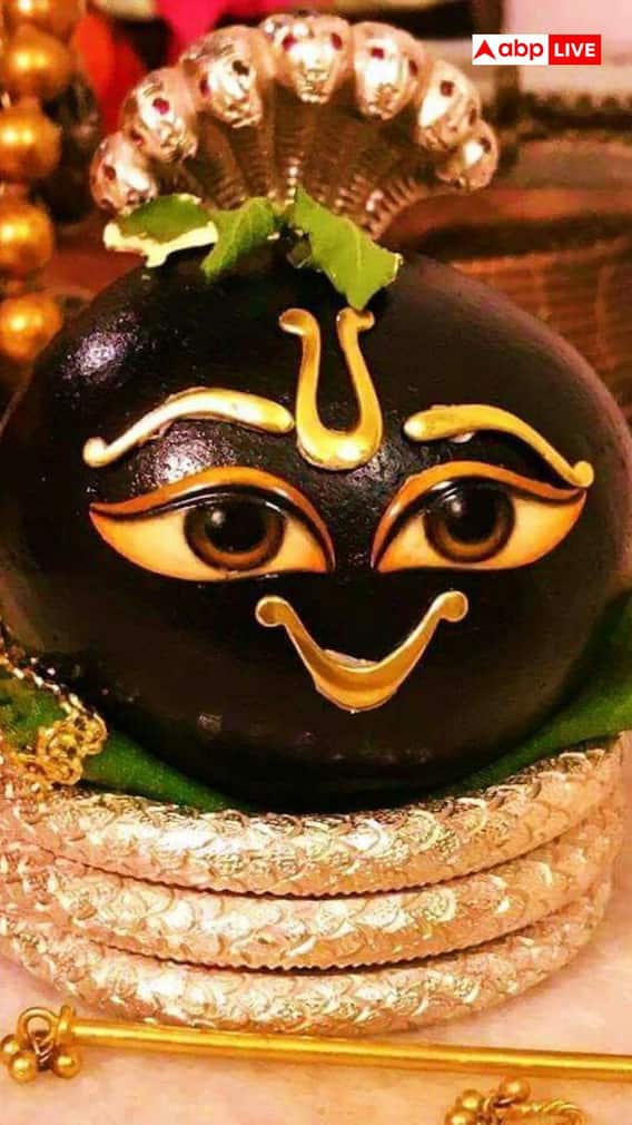 शालिग्राम क्या है इसका विष्णु जी से क्या संबंध है ?