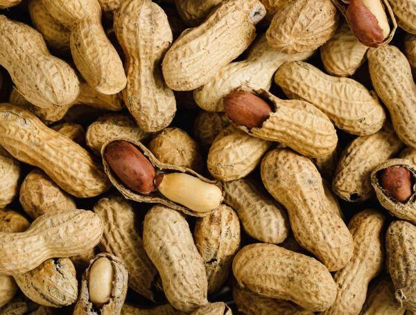 शेंगदाण्यातील व्हिटॅमिन E त्वचेला नैसर्गिक चमक देते आणि ती अधिक मऊ बनवते. तसेच, शेंगदाणे केसांना पोषण देतात, त्यांना मजबूत आणि चमकदार ठेवतात.