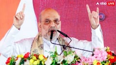 'लालू के बेटे की सरकार बनी तो हत्या-अपहरण-रंगदारी के 3 नए मंत्रालय होंगे', अमित शाह का RJD पर निशाना