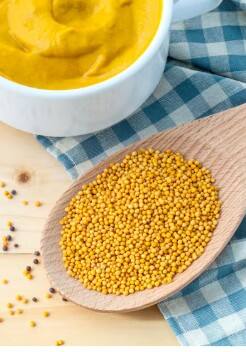 ਪੀਲੀ ਸਰ੍ਹੋਂ ਦੇ ਬੀਜਾਂ ਨੂੰ ਭਿਓ ਕੇ ਪਾਣੀ ਪੀਣ ਦੇ ਅਦਭੁਤ ਫਾਇਦੇ, ਕੋਲੇਸਟਰੋਲ ਸਣੇ ਚਮੜੀ ਨਿਖਾਰਣ ਤੋਂ ਲੈ ਕੇ ਦਾਗ-ਛਾਈਆਂ ਘਟਾਉਂਦਾ