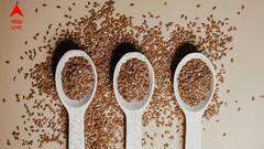 খাওয়ার পাশাপাশি চুলে সরাসরি ব্যবহার করুন ফ্ল্যাক্স সিড, কী কী উপকার? রইল তালিকা