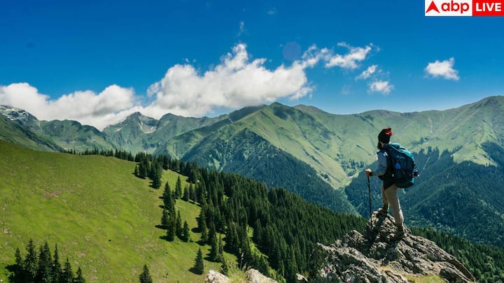 भुवनेश्वर और पुरी, ओडिशा. समुद्र तट, मंदिर और सस्ता ठहराव पुरी और भुवनेश्वर दोनों जगहें लो-बजट ट्रैवलर्स के लिए बेस्ट हैं. पुरी बीच की सुबहें और जगन्नाथ मंदिर की शांति हर किसी को मोहित करती है. यहां लोकल गेस्ट हाउस और खाने-पीने की चीजें बहुत सस्ती हैं.