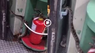 Video: चलती ट्रेन में वॉशबेसिन से निकला 10 फीट लंबा अजगर, देखकर लोगों के छूटे पसीने, वीडियो वायरल