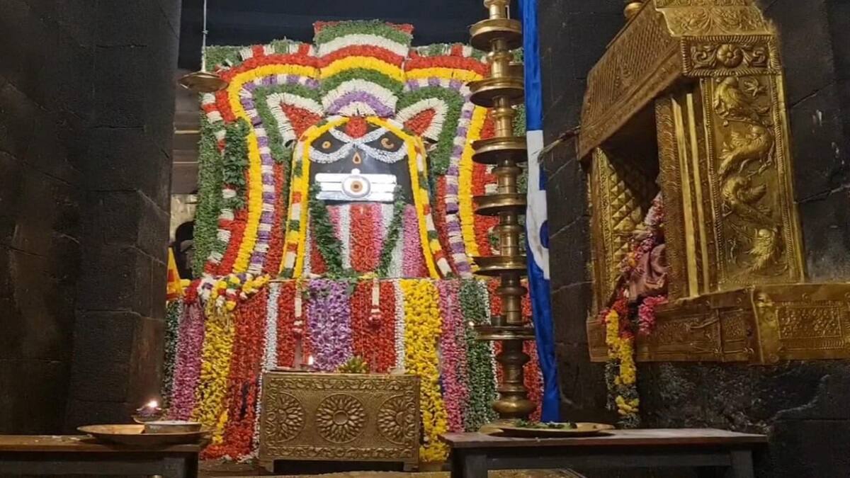 உயரே இருந்து கழுகுப் பார்வை... கண்ணைக் கவர்ந்த பெரிய கோயில் சுவாமி வீதியுலா காட்சி