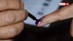 मतदाता स्याही का चुनावी कनेक्शन, कब से हो रहा इसका इस्तेमाल; जानें इंडेलिबल इंक की पूरी कहानी