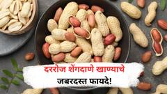 Benefits of Groundnut : शेंगदाणे खाण्याचे 'हे' आहेत आरोग्यदायी फायदे