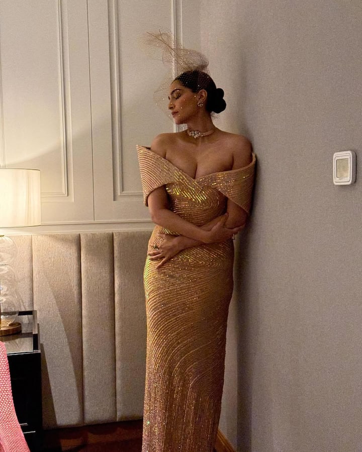 सोनम कपूर बॉलीवुड में अपने अभिनय करियर और फैशन सेंस दोनों के लिए जानी जाती हैं।