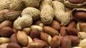 Benefits of Groundnut : शेंगदाणे खाण्याचे 'हे' आहेत आरोग्यदायी फायदे