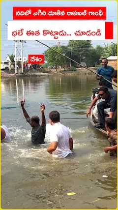 నదిలో ఎగిరి దూకిన రాహుల్ గాంధీ భలే ఈత కొట్టాడు.. చూడండి