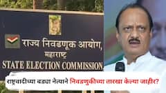 आयोगाने नव्हे तर राष्ट्रवादीच्या बड्या नेत्याने निवडणुकीच्या तारखा केल्या जाहीर? म्हणाले, 15 डिसेंबरला जिल्हा परिषद अन् महापालिका...