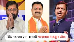 महायुतीच्या एक वर्षाच्या काळात फुटकी कवडीही मिळाली नाही; शिंदे गटाच्या आमदाराचा जाहीर सभेतच सरकारला घरचा आहेर