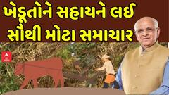 Gujarat Farmers Relief Package News:  ખેડૂતોને સહાયને લઈ સૌથી મોટા સમાચાર, જુઓ અહેવાલ