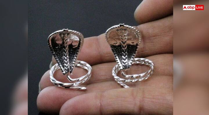 चांदी के नाग-नागिन के जोड़े को शेषनाग का प्रतीक माना जाता है, जोकि पृथ्वी को थामे हुए हैं. इसे नींव में डालने से घर की रक्षा होती है. इसका उल्लेख भागवत पुराण में भी मिलता है.