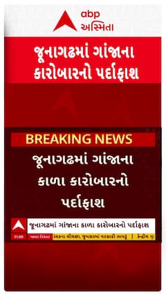 Junagadh News: જૂનાગઢમાં ગાંજાના કાળા કારોબારનો પર્દાફાશ, 3.160 ગ્રામ હાઈબ્રિજ ગાંજા સાથે 4ની ધરપકડ