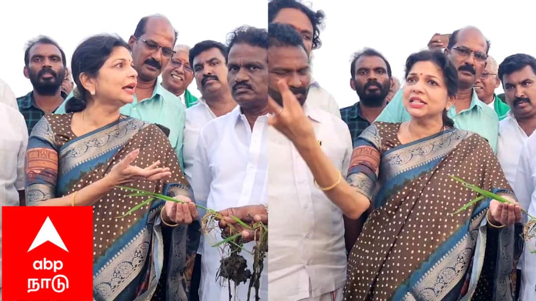 விவசாயிகளை வஞ்சிக்கும் தமிழக அரசு! சௌமியா அன்புமணி பகீர் குற்றச்சாட்டு!