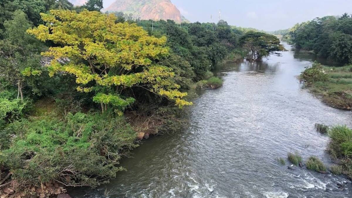 (Image Source: Twitter/@MegamalaiS)