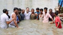 राहुल गांधी की छलांग बिहार में महागठबंधन की नैया लगाएगी पार? इन 40-50 सीटों पर पड़ेगा असर!