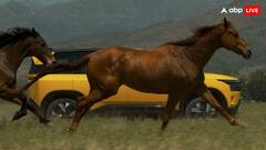 इस दिन लॉन्च होने जा रही मोस्ट अवेटेड Tata Sierra, इन एडवांस फीचर्स से होगी लैस