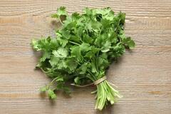 Coriander Storage Tips : कोथिंबीर शिवाय पदार्थाला चव कुठे! दीर्घकाळ टिकण्यासाठी 'या' घरगुती टिप्स बघाच..