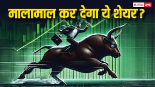 एक रुपये से कम कीमत वाला शेयर काट रहा गदर, निवेशकों को बनाया करोड़पति, सिर्फ ढाई महीने में डबल रिटर्न