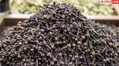 Benefits of cloves: रोजाना लौंग चबाने से मिलते हैं ये 11 फायदे, जान लेंगे तो भूलकर भी नहीं करेंगे इग्नोर