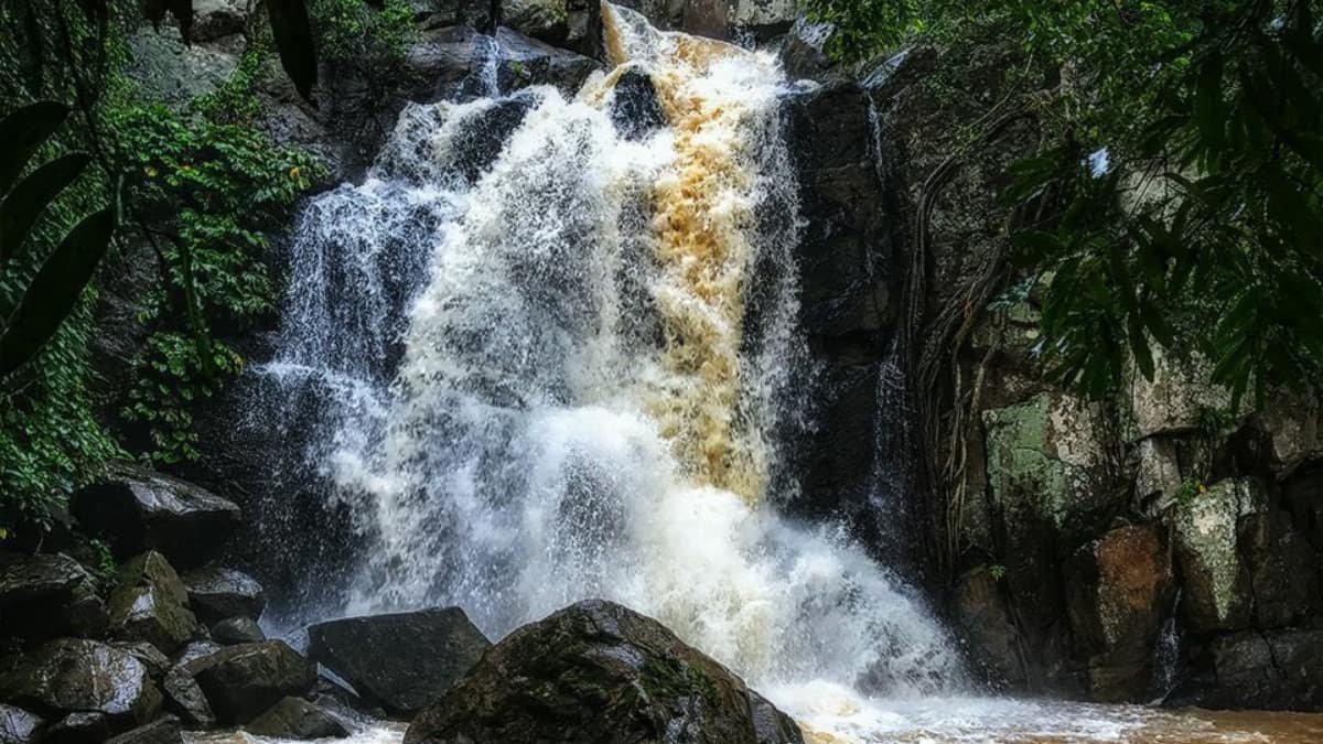 (Image Source: Twitter/@Udayan_Sarathi)