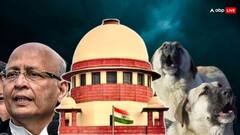 कितने कुत्ते स्टेरलाइज किए और कितने एबीसी सेंटर बनाए, हलफनामों में कहां? सिंघवी की दलील पर SC बोला- बात तो सही है...
