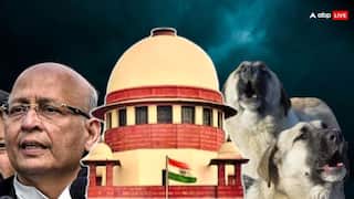 कितने कुत्ते स्टेरलाइज किए और कितने एबीसी सेंटर बनाए, हलफनामों में कहां? सिंघवी की दलील पर SC बोला- बात तो सही है...
