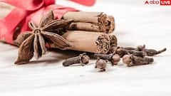 Benefits of cloves: रोजाना लौंग चबाने से मिलते हैं ये 11 फायदे, जान लेंगे तो भूलकर भी नहीं करेंगे इग्नोर