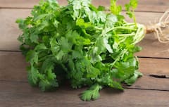 Coriander Storage Tips : कोथिंबीर शिवाय पदार्थाला चव कुठे! दीर्घकाळ टिकण्यासाठी 'या' घरगुती टिप्स बघाच..