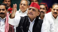 INDIA अलायंस पर पड़ेगा बिहार चुनाव की हार का असर? अखिलेश यादव के बयान से मिले ये संकेत