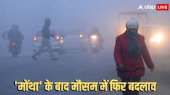 यूपी में कोहरा, दिल्ली-NCR के लिए मौसम विभाग ने जारी कर दी चेतावनी, जानें बिहार में क्या होगा?