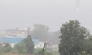 Gujarat Rain: ઉત્તર ગુજરાતના દાંતા, અંબાજી અને ધાનેરા પંથકમાં ફરી વરસાદ, ખેડૂતો ચિંતામાં