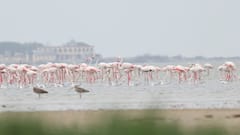 International Day For Biosphere Reserves 2025: 10 Breathtaking Biosphere Reserves In India Recognised By UNESCO