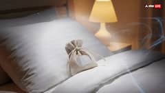 Vastu Tips For Bad Dreams: रात में नहीं आती नींद या है बुरे सपनों से परेशान, तो अपनाए इन वास्तु उपाय को!