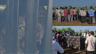 Pune Leopard Attack: बिबट्याला जगवायचं की माणसाला, ते ठरवा! गावकऱ्यांचा राज्य सरकाला अल्टिमेटम, मंत्रालयात महत्त्वाची बैठक