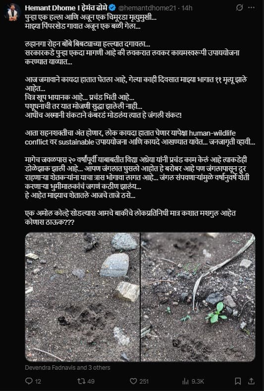 Hemant Dhome On Pune Shirur Leopard Attack: 'आधीच अस्मानी संकटानं कंबरडं मोडलंय त्यात बिबट्याचं जंगली संकट...'; हेमंत ढोमेनं सांगितली शिरूर तालुक्याची व्यथा