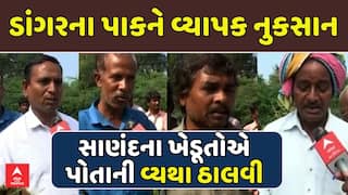Sanand Farmer: ડાંગરના પાકને વ્યાપક નુકસાન, abp અસ્મિતા સમક્ષ સાણંદના ખેડૂતોએ વ્યથા ઠાલવી