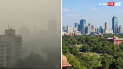 This Delhi Neighbourhood Is The Only One With Below 50 AQI, Breathing Easy As Capital Suffocates