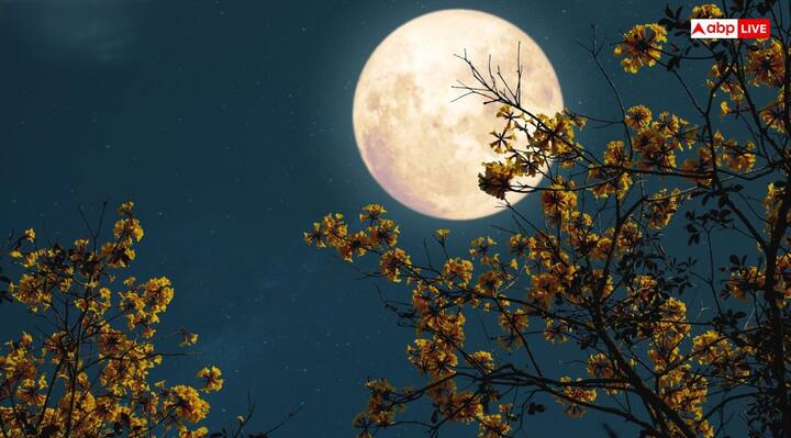 5 नवंबर 2025 को कार्तिक पूर्णिमा के दिन आज चंद्रदोय का समय शाम 05 बजकर 11 मिनट रहेगा. चंद्रदोय के बाद चंद्र देव का दर्शन करें. चांदी के कलश में दूध,जल, फूल, अक्षत और शक्कर मिलाकर अर्घ्य अर्पित करें.