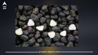 ਇਨ੍ਹਾਂ ਲੋਕਾਂ ਨੂੰ ਭੁੱਲ ਕੇ ਵੀ ਨਹੀਂ ਖਾਣਾ ਚਾਹੀਦਾ ਸਿੰਘਾੜਾ, ਹੋ ਸਕਦੇ ਨੇ ਇਹ 5 ਵੱਡੇ ਨੁਕਸਾਨ