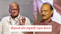 बीडमध्ये दोन राष्ट्रवादी एकत्र येणार? निवडणुकीत केवळ भाजपला विरोध, शरद पवारांची रणनीती