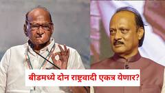 बीडमध्ये दोन राष्ट्रवादी एकत्र येणार? निवडणुकीत केवळ भाजपला विरोध, शरद पवारांची रणनीती