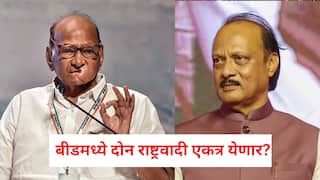 बीडमध्ये दोन राष्ट्रवादी एकत्र येणार? निवडणुकीत केवळ भाजपला विरोध, शरद पवारांची रणनीती