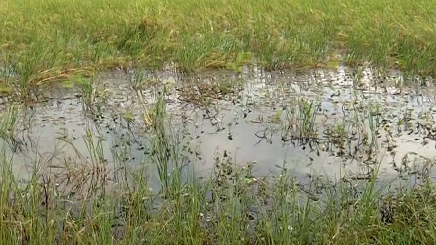 કમોસમી વરસાદથી થયેલા નુકસાન પર રાજનીતિ, સહાય પેકેજ મુદ્દે કિસાન સંઘ, AAP અને કોંગ્રેસની અલગ-અલગ માંગ Kisan Sangh AAP and Congress have different demands on the issue of relief package કમોસમી વરસાદથી થયેલા નુકસાન પર રાજનીતિ, સહાય પેકેજ મુદ્દે કિસાન સંઘ, AAP અને કોંગ્રેસની અલગ-અલગ માંગ