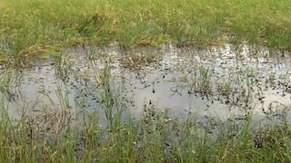 કમોસમી વરસાદથી થયેલા નુકસાન પર રાજનીતિ, સહાય પેકેજ મુદ્દે કિસાન સંઘ, AAP અને કોંગ્રેસની અલગ-અલગ માંગ