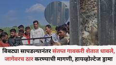 बिबट्या पिंजऱ्यात सापडल्याचं कळताच संतप्त गावकरी शेतात धावले, जागेवरच ठार करण्याची मागणी, शिरुरमध्ये हायव्होल्टेज ड्रामा