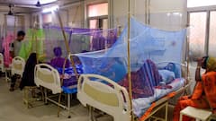 दिल्ली में डेंगू से दो लोगों की मौत, सामने आई MCD की चौंकाने वाली रिपोर्ट